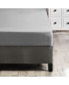 Lenzuolo con angoli elasticizzati Ranforce Super King in cotone grigio scuro, 180 x 200 cm