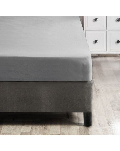 Lenzuolo con angoli elasticizzati Ranforce Super King in cotone grigio scuro, 180 x 200 cm