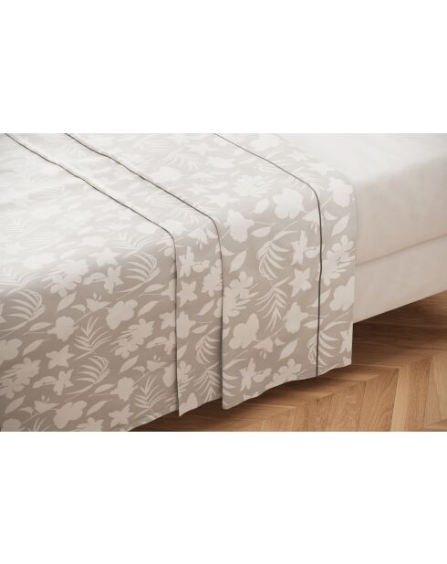 Drap plat en percale de coton Brandi gris - 270X300cm