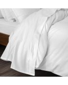 Drap plat pur coton percale peigné neige