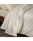 Drap plat pur coton percale peigné ivoire