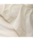 Drap plat pur coton percale peigné ivoire