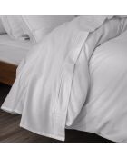 Drap plat pur coton percale peigné perle