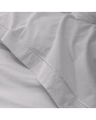 Drap plat pur coton percale peigné perle