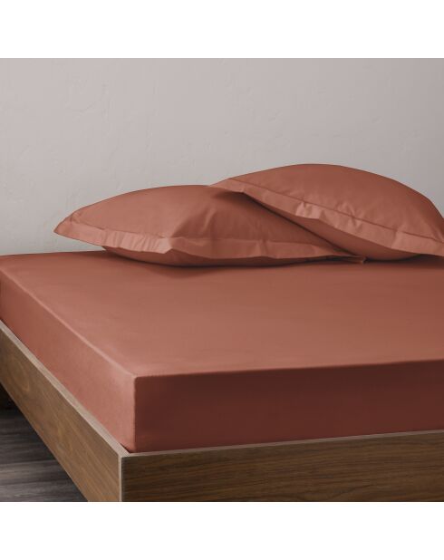 Drap housse pur coton percale peigné terracotta