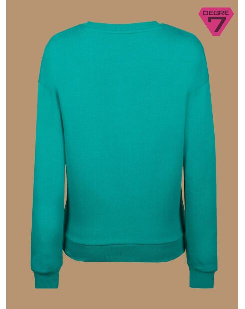 Roses V2 mintkleurige sweater
