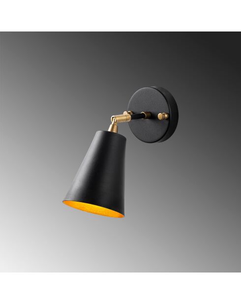 Evander 13191 Wandlampe schwarz/gold - 10 × 26 × 21 cm