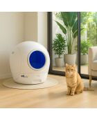 CATBOT K10i Pure Sense wit