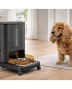 Distributeur de croquettes connecté pour chiens antharcite - 66x34.5x42 cm