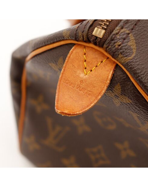 Sac Speedy 25 marron - Très bon état général - 25x19x15cm