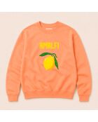 Sweatshirt van perzikkatoen Amalfi