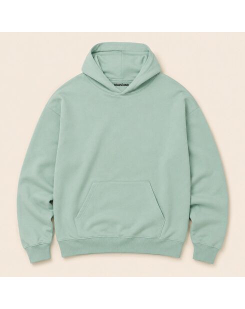 Hoodie en coton Pasta Club aloé