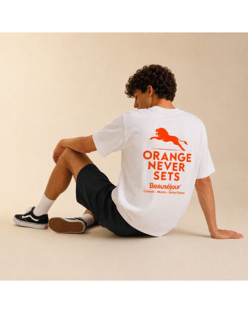 T-shirt van wit katoen in Nederland