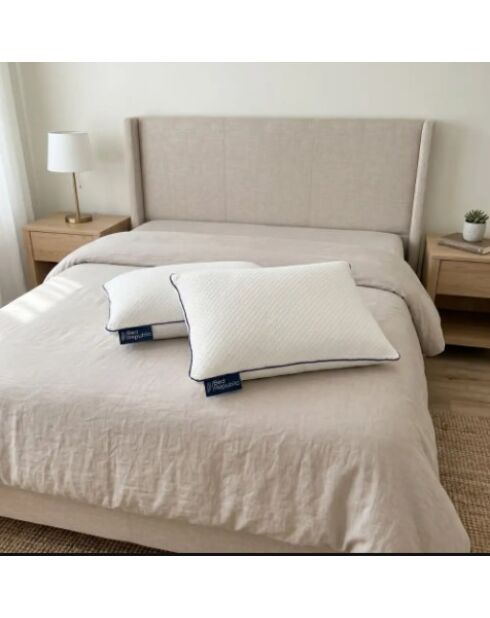 Set de 2 oreillers Bed Republic mémoire de forme confort équilibré ou moyen blancs
