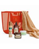 Summer Glow Strandset mit Rizinusöl — Haarwuchsstimulierende Behandlung — 6 Stück