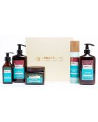 Programmaset voor intensief herstel - argan - droog en beschadigd haar - (5 behandelingen) - 400 ml