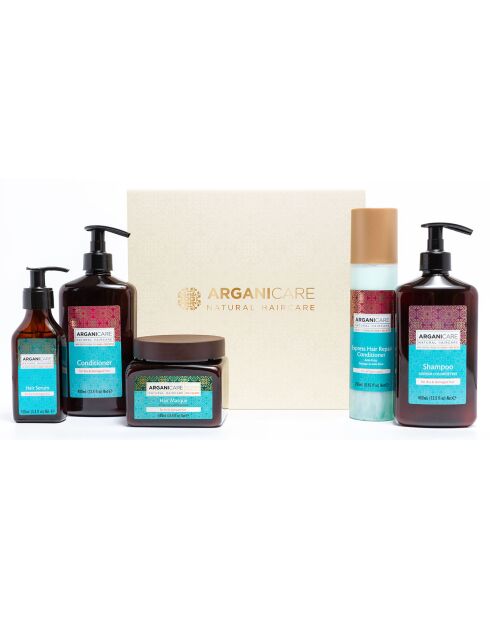 Programmaset voor intensief herstel - argan - droog en beschadigd haar - (5 behandelingen) - 400 ml