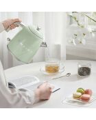 Bouilloire vintage vert - 1 L