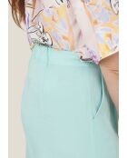 Chanet schlichte Seladonshorts