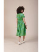 Grünes Baumwollkleid Recto Ombres