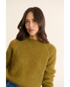 Pull Timour olive
