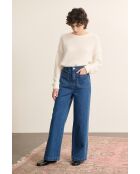 Pantalones azules Torres