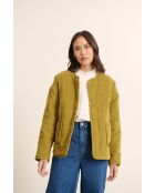 Manteau en velours Brandy kaki
