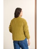 Manteau en velours Brandy kaki