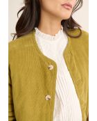 Manteau en velours Brandy kaki