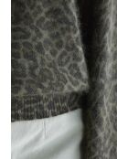 Tricot Dioal combo c