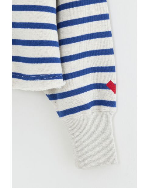 Fabina gestreiftes Sweatshirt