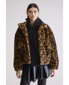 Veste Enora combo a