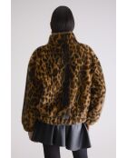 Veste Enora combo a