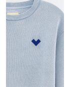 Sweat-shirt Fanzi chambray