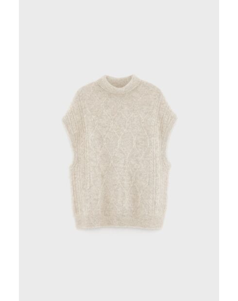Tricot Darti oyster
