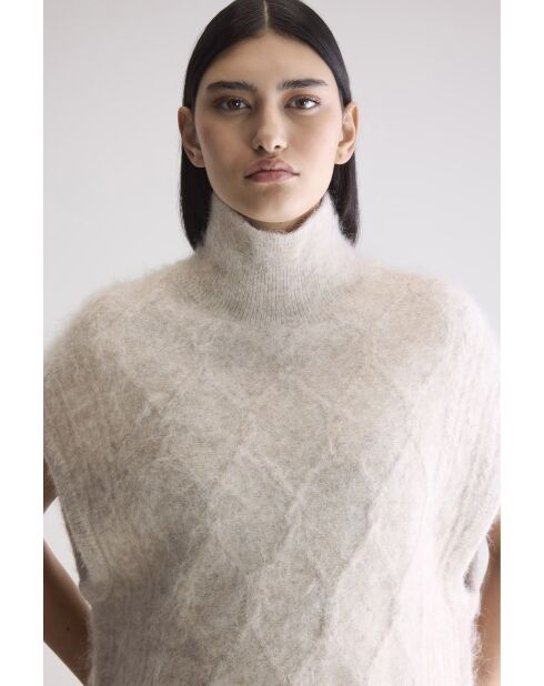 Tricot Darti oyster