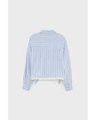 Camicia a righe luminose a