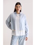 Camicia a righe luminose a