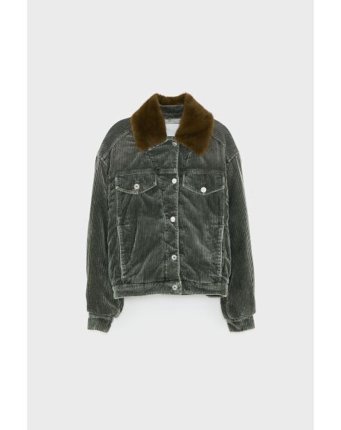 Veste Payne sage