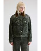 Veste Payne sage