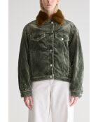 Veste Payne sage