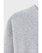 Sweat-shirt Mark h. grey