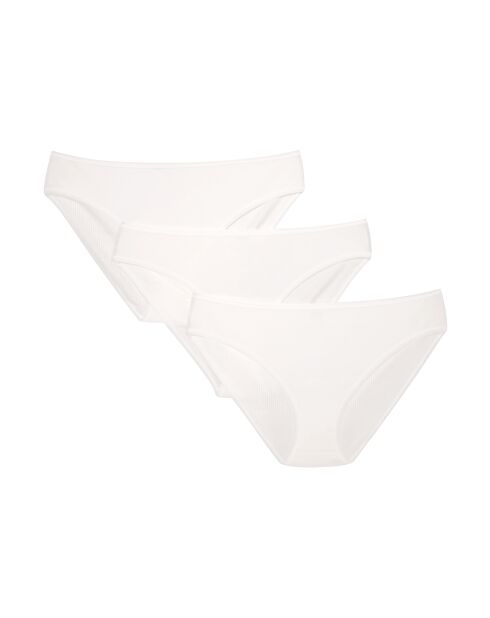 Lot de 3 culottes Sol-Sol 3B multicolore