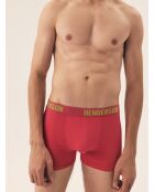 Lot de 3 boxers Star multicolore