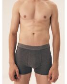 Lot de 2 boxers Move gris