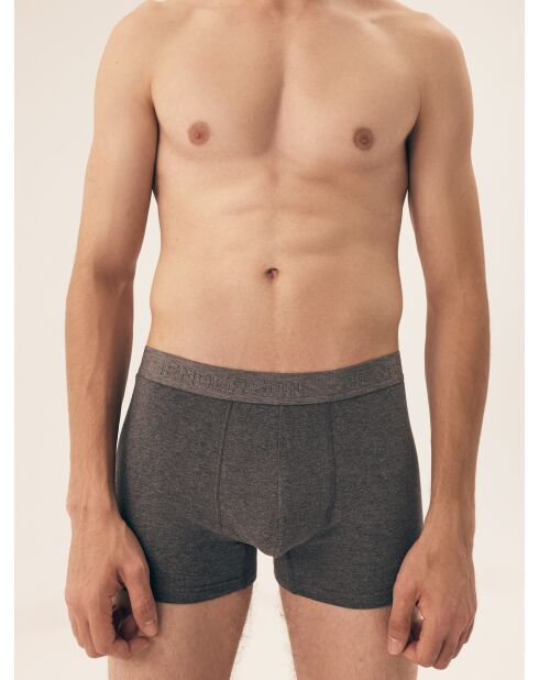 Lot de 2 boxers Move gris
