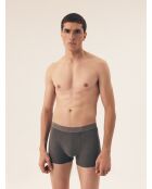 Lot de 2 boxers Move gris