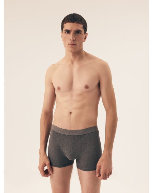 Lot de 2 boxers Move gris