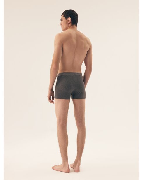 Lot de 2 boxers Move gris