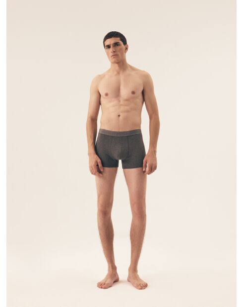 Lot de 2 boxers Move gris